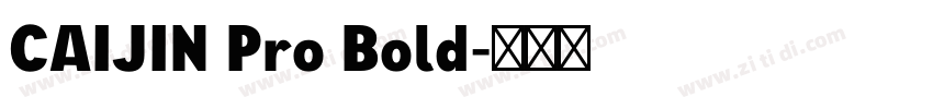 CAIJIN Pro Bold字体转换